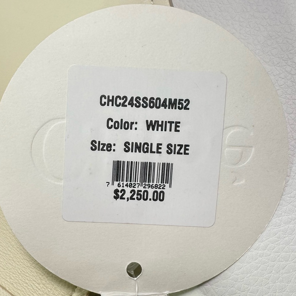 NEW CHLOE MARCIE CHAIN FLAP CALF LEATHER & SUEDE MISTY IVORY AUTHENTIC NWT! - Picture 7 of 13